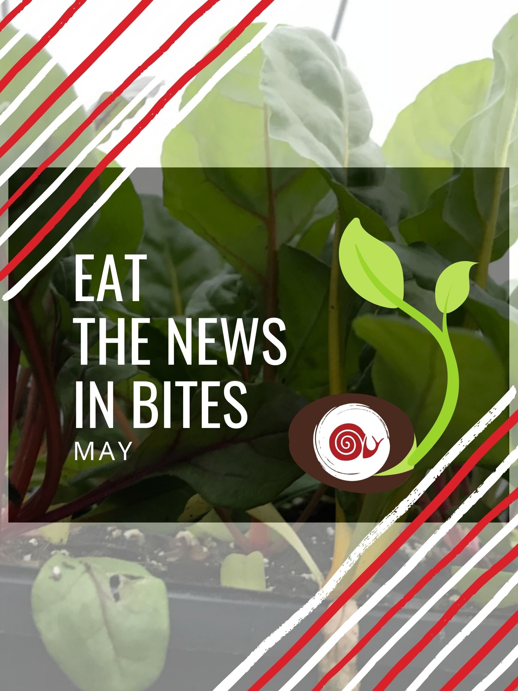 Eat the News in Bites: Local Food Community News, May 2021