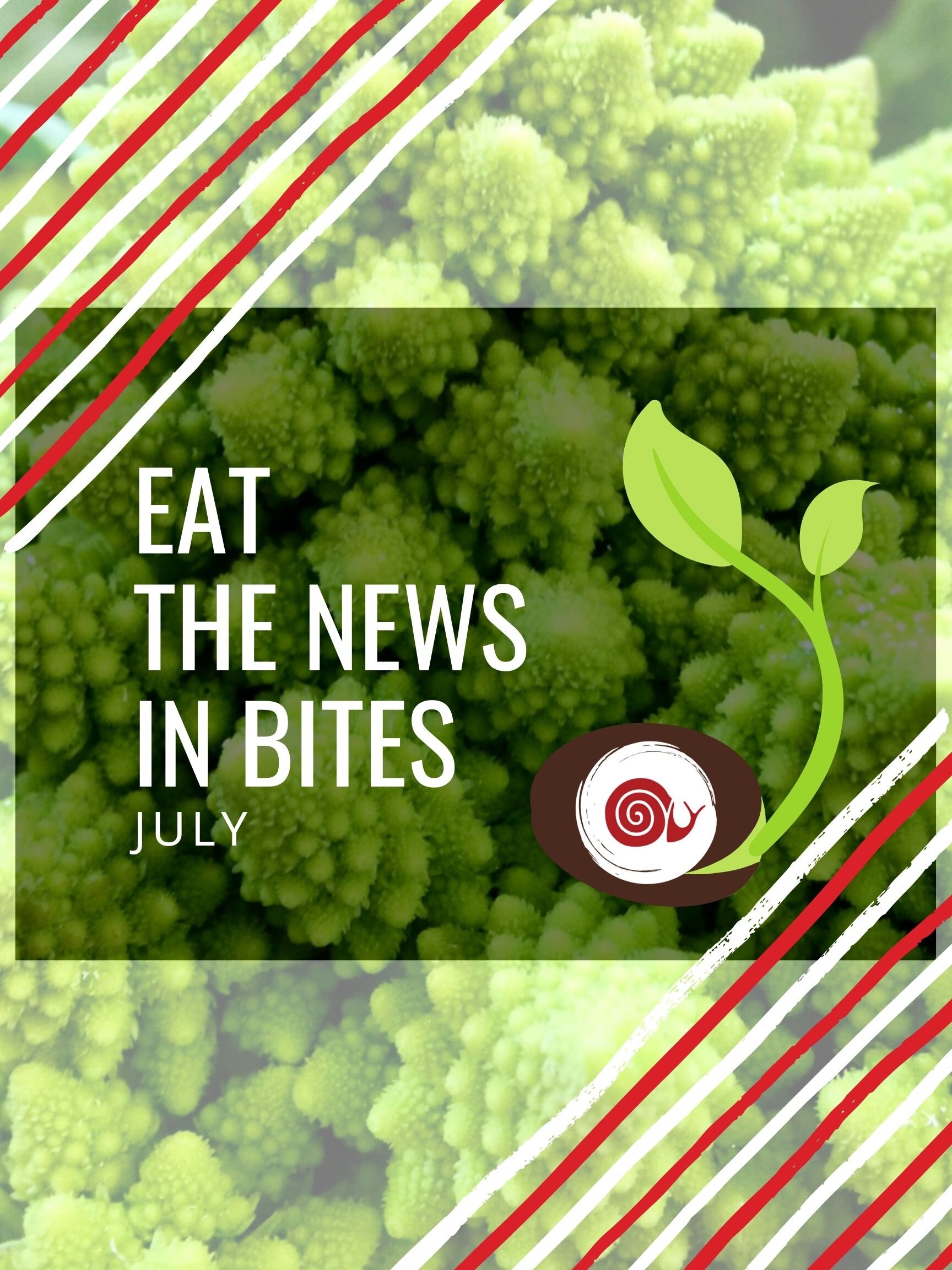 Eat the News in Bites: Local Food Community News, July 2021