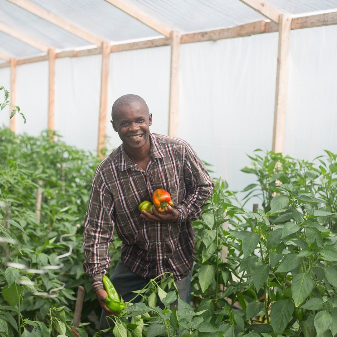 Support Kilimo Minnesota's GoFundMe Empowering Minnesota Farmers of African Descent.
https://www.gofundme.com/f/kilimo-minnesota
One of the food leaders and organizations we love&mdash;Moses and Lonah of Kilimo Minnesota&mdash;have launched a GoFun